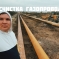 Услуги/Аренда Мульчера. Комплексная расчистка с/х полей. Валка леса. Мульчер бульдозер ООО «Кочевник 5
